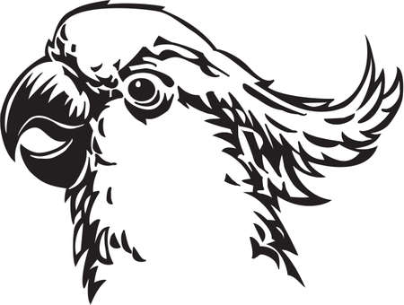 Cockatooのイラスト素材