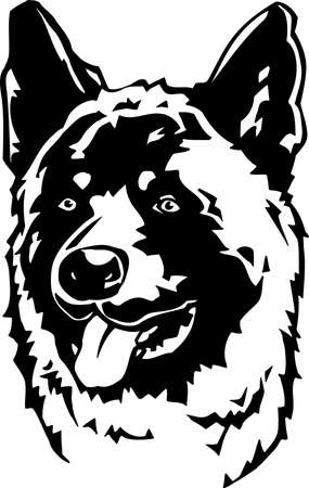 Akitaのイラスト素材