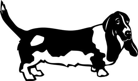 Basset Houndのイラスト素材