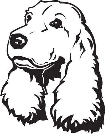 Cocker Spanielのイラスト素材