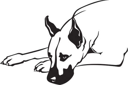 Great Daneのイラスト素材