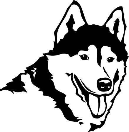 Siberian Huskyのイラスト素材