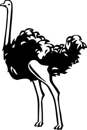 Ostrichのイラスト素材