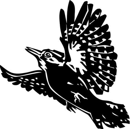 Spotted Woodpeckerのイラスト素材
