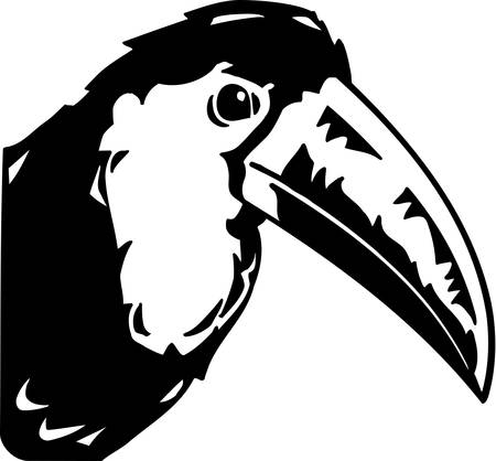 Toucanのイラスト素材