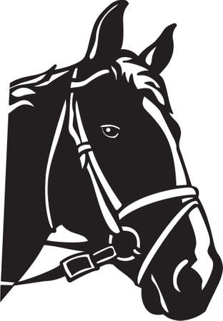 Horseのイラスト素材