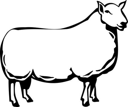 Sheepのイラスト素材