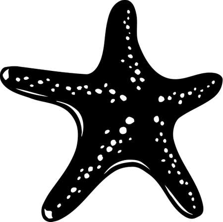Starfishのイラスト素材