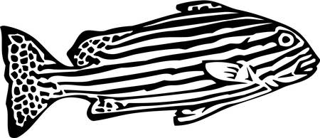 Zebrafishのイラスト素材