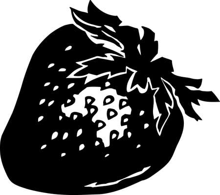 Strawberryのイラスト素材