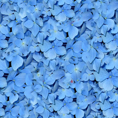 Flowers Seamless Texture Tileの写真素材