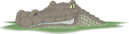 Crocodile Cartoonのイラスト素材