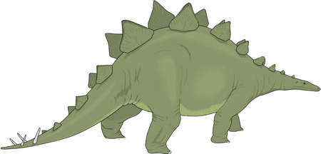 Stegosaurus Illustrationのイラスト素材