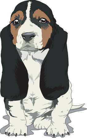 Basset Hound Illustrationのイラスト素材