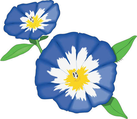 Dwarf Morning Glory Illustrationのイラスト素材