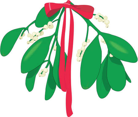 Mistletoe Illustrationのイラスト素材