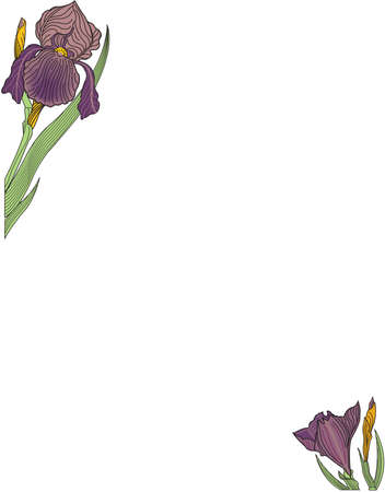 Floral border illustration.のイラスト素材