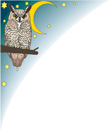 Owl in Moonlight Border Illustrationのイラスト素材