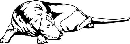 Sleeping Dog Illustration.のイラスト素材