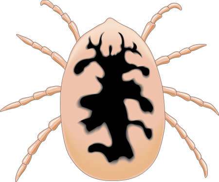 Soft Tick Vector Illustration