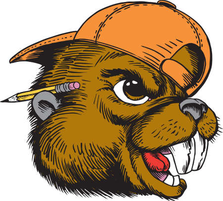 Beaver Head Tough Vector Illustrationのイラスト素材