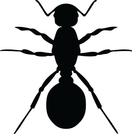 Ant Silhouette Black and White Vector Illustrationのイラスト素材