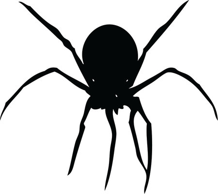 Spider Black and White Vector Illustrationのイラスト素材