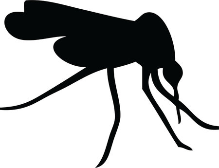 Mosquito Black and White Vector Illustrationのイラスト素材