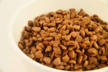 Dry Cat Food