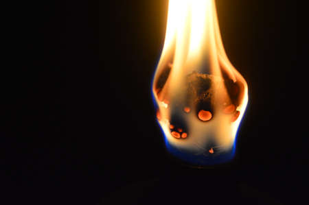 Tiki Torch Flame
