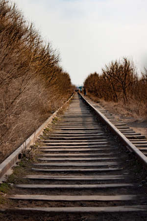 The old Railway is passing among the branches of treesの写真素材