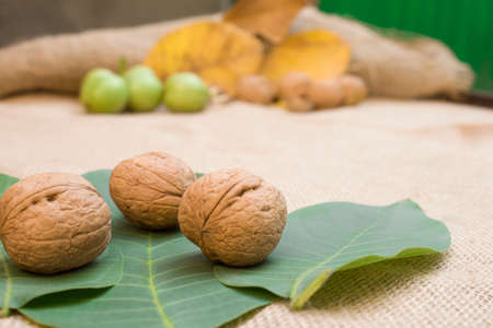 Slices of walnut autumn view
