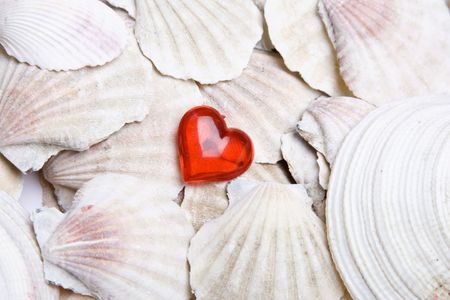 Love for the seaの写真素材