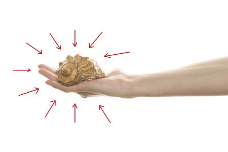 Seashell in her hand