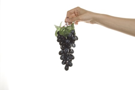 Grapes in handの写真素材