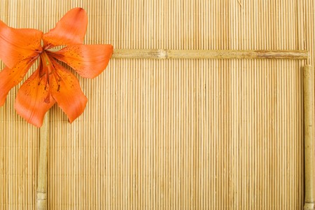 On a wooden surface of the orange flowers tiger lilies and bamboo sticks arranged in a frameの写真素材