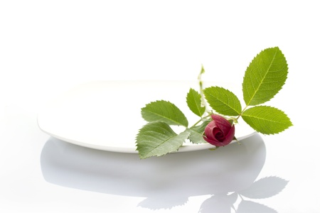 Place setting with roseの写真素材