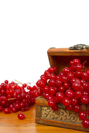 Red berriesの写真素材