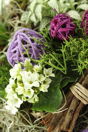 Composition with the flowers and plantsの写真素材