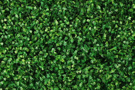 Close-up background of green grass. Artificial leaf clover