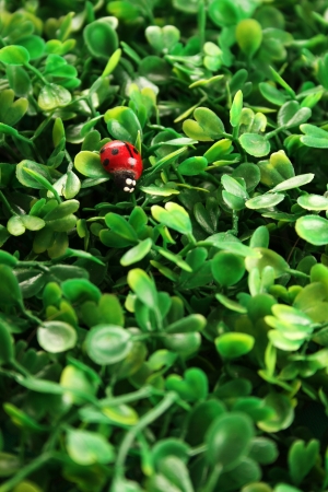 Close-up background of green grass. Artificial leaf clover