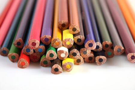 Many multi-colored pencils lie in a row on a white background