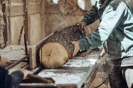 Carpenter cuts wooden board on circular saw.の写真素材