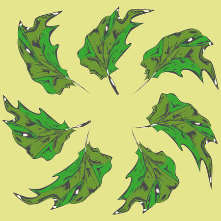 Leaves of the tree are symmetrically arranged in a circle on a square background yellow.のイラスト素材