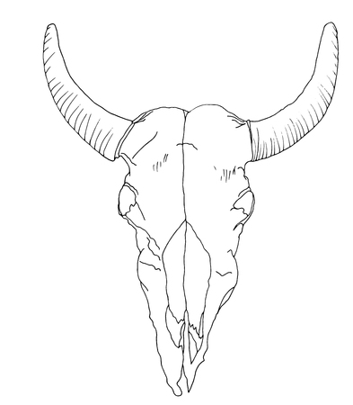 Skull of a cow with horns of a dice line, doodle sketches of a black contour on a white backgroundのイラスト素材