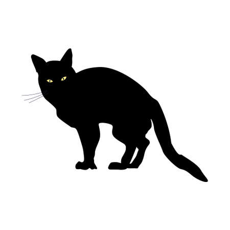Silhouette of Black evil Cat with yellow eyes. Vector illustration of Scary pet on white isolated background. Design for Halloweenのイラスト素材