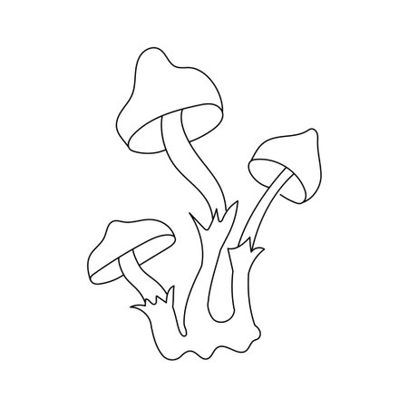 Psychedelic Toadstools in line art stylet. Outline of magic Mushrooms on a white isolated background. Vector illustration for an Icon or any designのイラスト素材