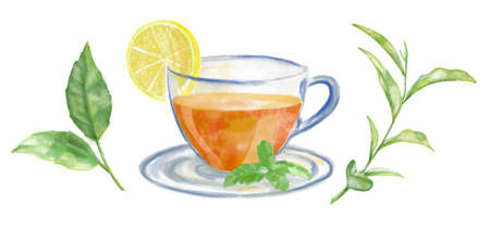 Watercolor hand painting Teacup and Plants with green leaves. Illustration of Black Tea in the Cup on white background. Drawing for restaurant menu design or iconの写真素材