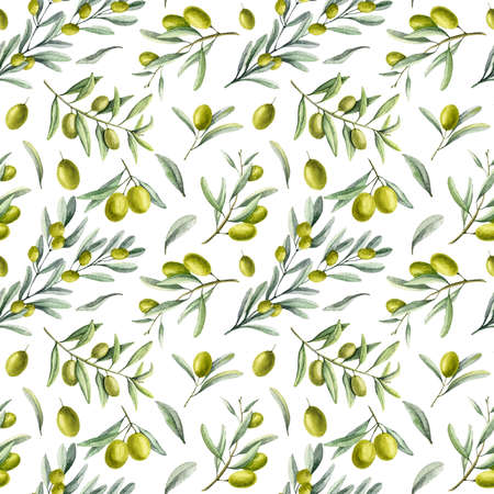 Watercolor Olive Pattern. Hand painted Seamless Background with Mediterranean plant branches and green fruits. Backdrop for wrapping paper or textile designの写真素材