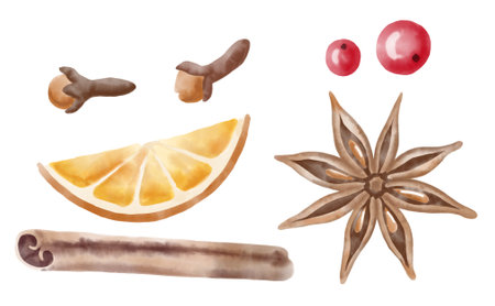 Watercolor Ingredients for Mulled Wine cooking. Hand drawn illustration for recipe of traditional winter hot drink. Orange, cranberry, anise, cinnamon and carnation on white isolated backgroundの写真素材